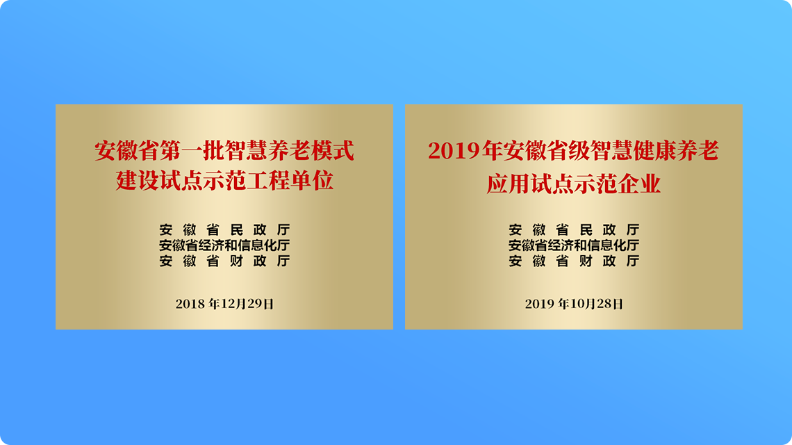 智慧養(yǎng)老示范工程企業(yè)